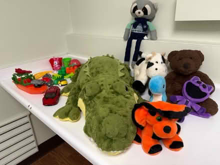 Photo of free Plush animal toys, cars, etc (Valencia Avenue, Sunnyvale) #2