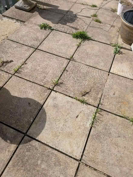 Photo of free Patio Paving Slabs (PL5) #2