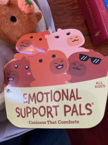 Photo of free Plush Toy (Springfield, Delco) #1