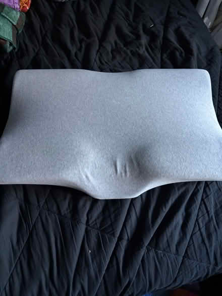 Photo of free CushionLab pillow (Near Chelmsford Center) #1
