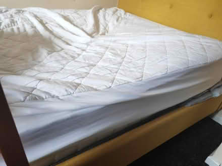 Photo of free Double bed with mattress (Darnall S9) #3