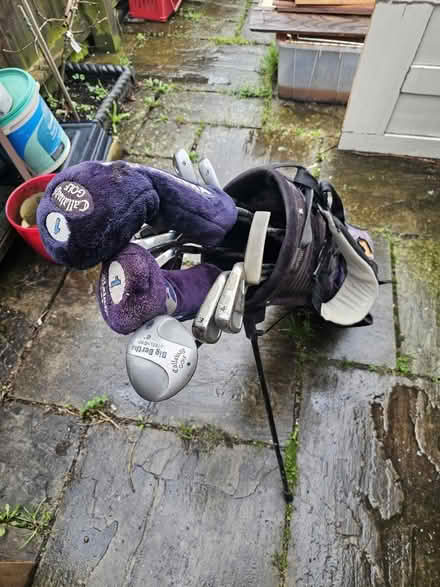 Photo of free Golf bag, stand and clubs (Berkhamsted HP4 2EY) #1