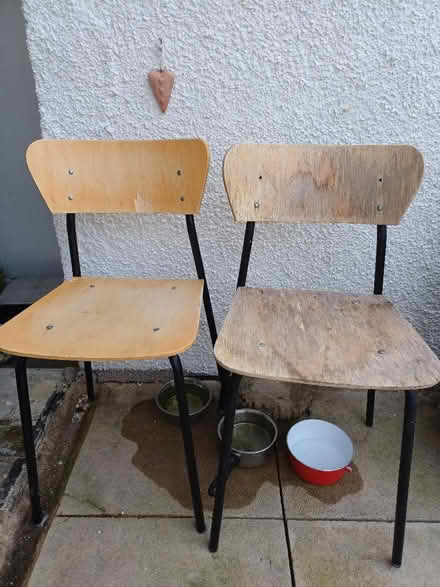 Photo of free 2 dining chairs (Bare LA4) #1