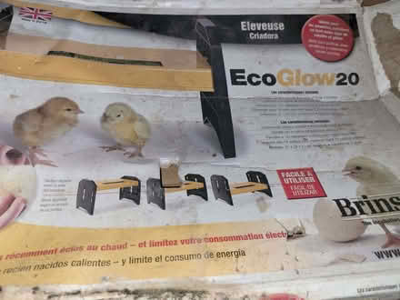 Photo of free Chick warmer. (Balwest TR13) #1