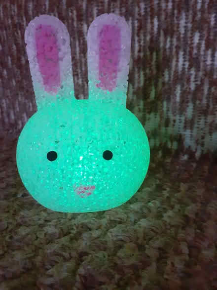 Photo of free Bunny Light (Kingsway) #1