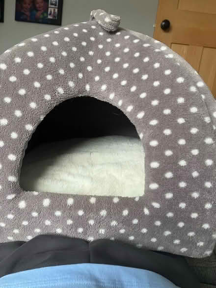 Photo of free Cat bed (East Hartburn TS18) #1