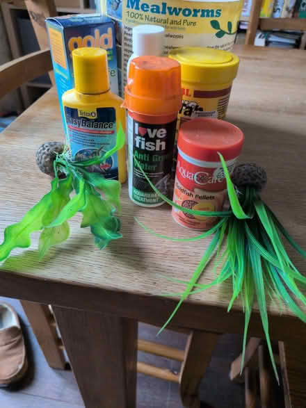 Photo of free Fish / aquarium bits (Wymondham NR18) #1