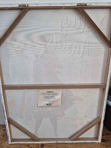 Photo of free Large Frozen canvas (CO13) #2