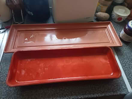 Photo of free Plant trays (St Nicholas SG1) #1