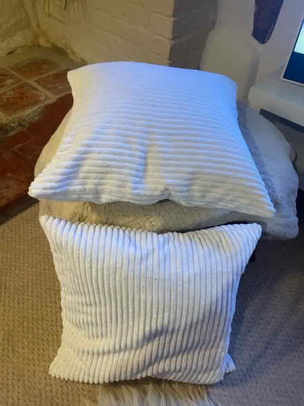 Photo of free 2x feather cushions (40x40cms) (Berkswell CV7 7BL) #1