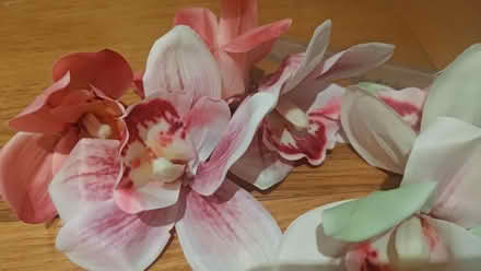 Photo of free 6 x synthetic flowers (Westbourne Park W11) #1