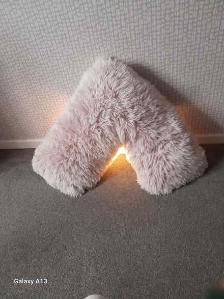 Photo of free Fluffy Pink Back/Bed Support (CT1) #1