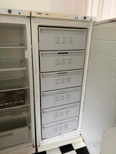 Photo of free Bosch fridge & freezer (Eastbourne BN20) #3