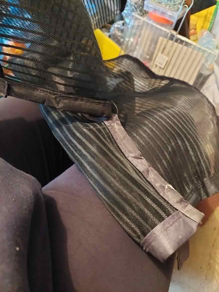 Photo of free Door bug net (Seaford BN25) #2