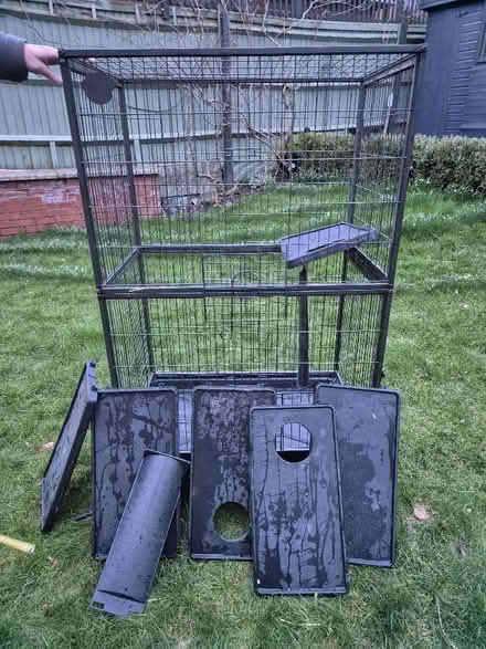 Photo of free Cage for rodents / birds (Tytherington SK10) #2