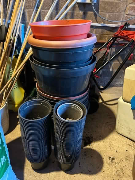 Photo of free Plant pots (West Park WA10) #2