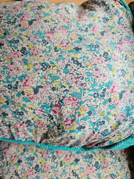 Photo of free Cushions (SW16 (streatham common)) #3