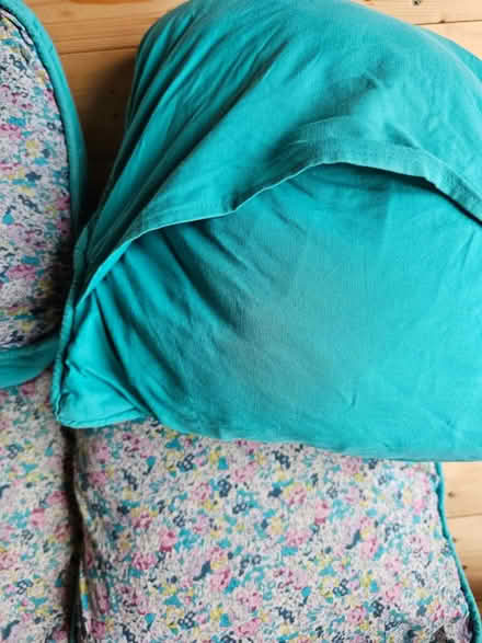 Photo of free Cushions (SW16 (streatham common)) #4