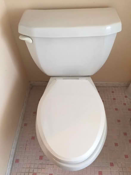 Photo of free Like new - Toilet & paper holder (Ottawa East) #1