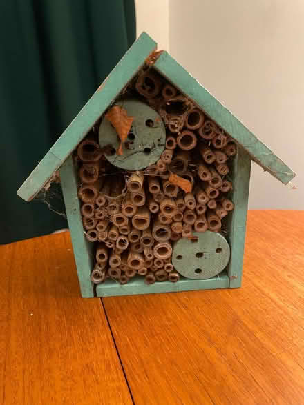 Photo of free Bug box (Highbury New Park N5) #1