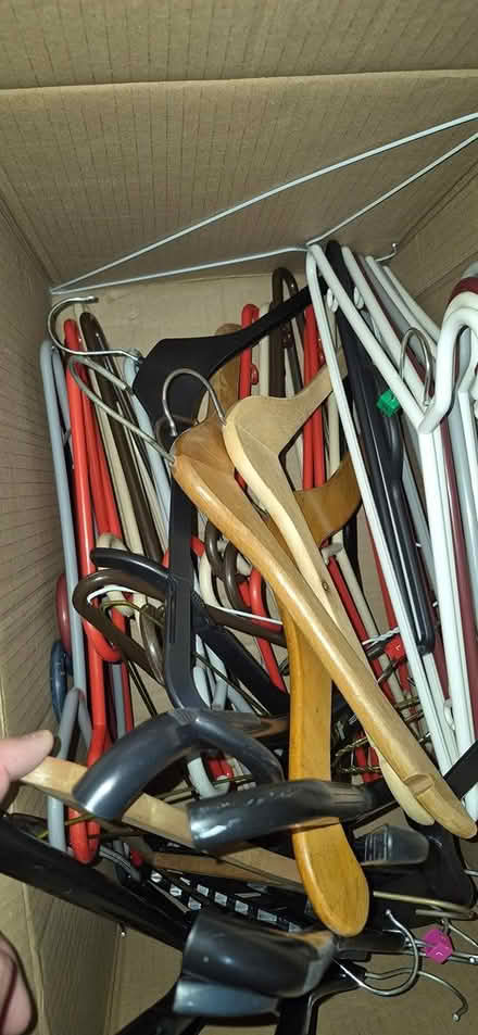 Photo of free Coat Hangers (West Hampstead NW6) #1