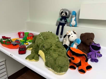 Photo of free Plush animal toys, cars, etc (Valencia Avenue, Sunnyvale) #3