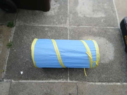 Photo of free Cat Plat Tunnel (SE22) #2