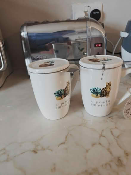 Photo of free Two mugs with infuser (CR5) #1