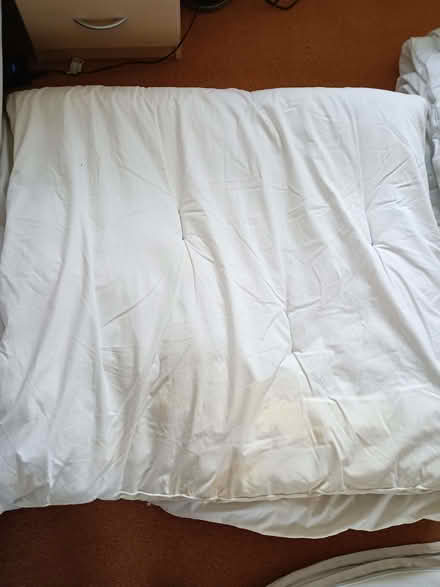 Photo of free Duvets king-size (Chalvington BN27) #1
