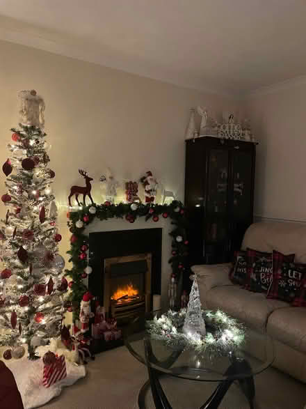 Photo of free 6ft Christmas tree (Frimley Ward GU16) #3