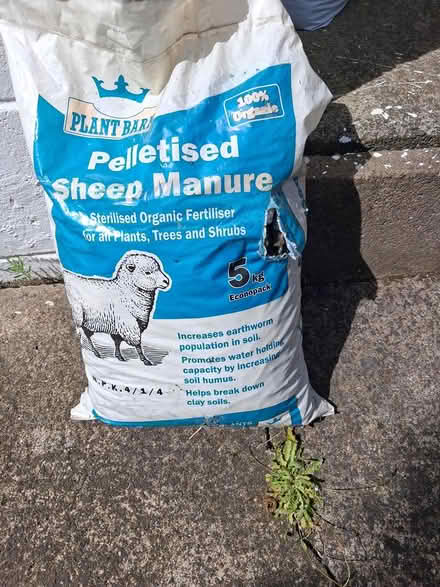 Photo of free Sheep pellets (Mt Eden) #1