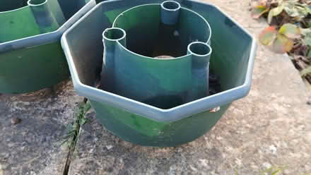 Photo of free Tomato plant extension rings (South Bretton) #2