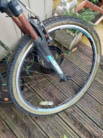 Photo of free Claude Butler mountain bike (Seaford BN25) #3