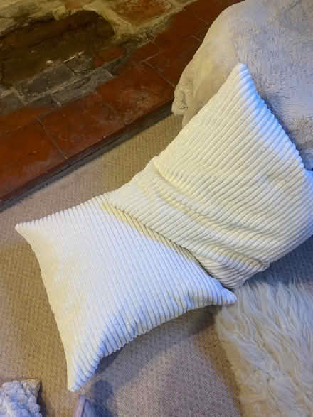 Photo of free 2x feather cushions (40x40cms) (Berkswell CV7 7BL) #2