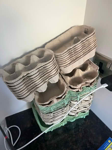 Photo of free Egg Cartons (Paignton TQ3) #1