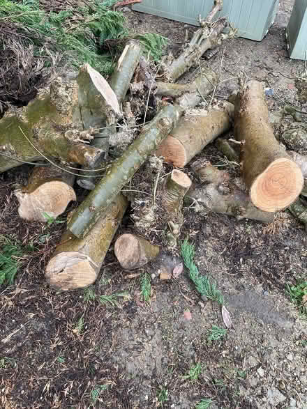 Photo of free logs for wood burning stoves (Cuffley) #2