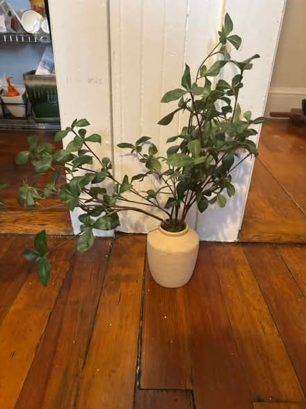 Photo of free 2 fake plants (Allston) #1