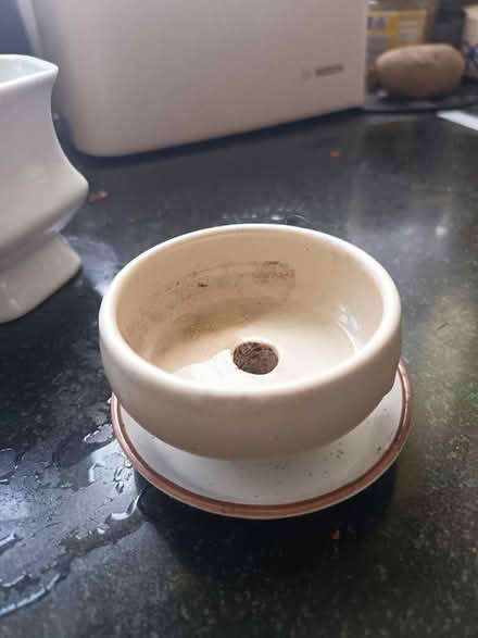 Photo of free Bonsai pot and saucer (St Nicholas SG1) #1
