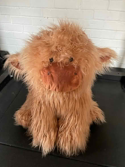 Photo of free Large Plush Cow (Newport, TF10) #1