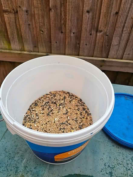 Photo of free Wild Bird Seed (Tiptree CO5) #1