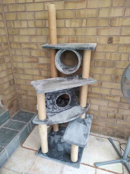 Photo of free Cat tower (Buglawton CW12) #2