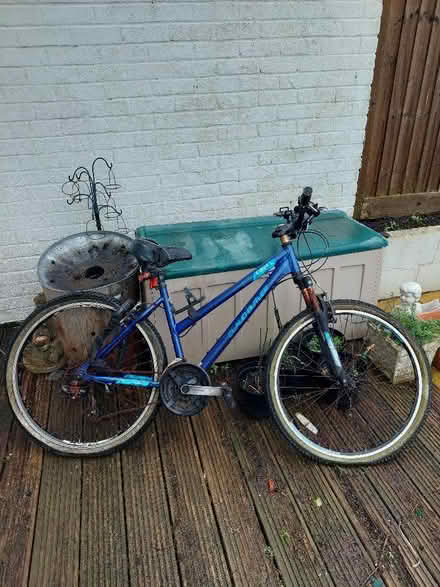 Photo of free Claude Butler mountain bike (Seaford BN25) #1