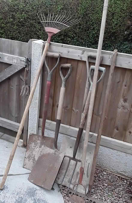 Photo of free Garden tools + shovels (Clent) #1