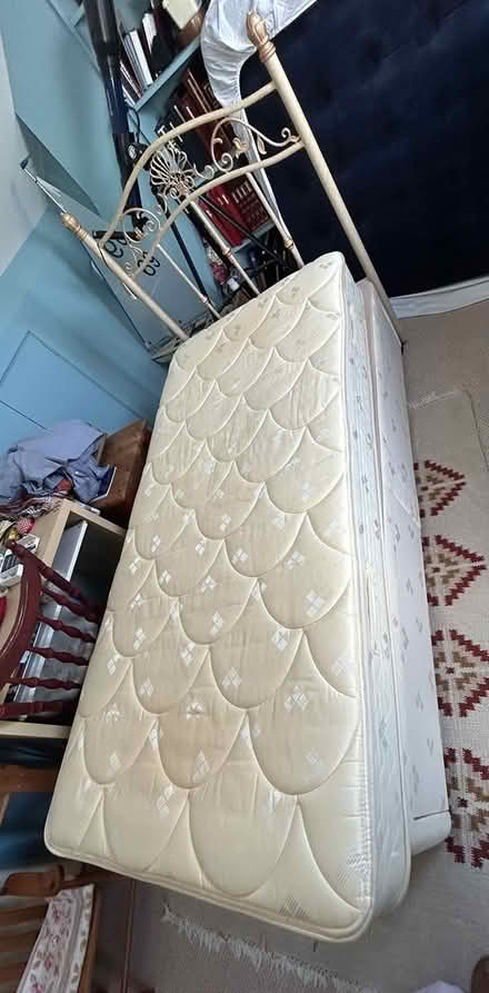 Photo of free Single bed and Mattress (Chichester PO19) #2