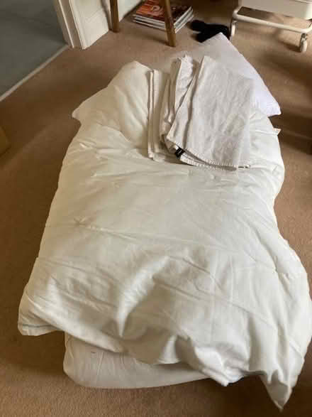 Photo of free Duvets, pillows, towels (KT8 0JX) #2
