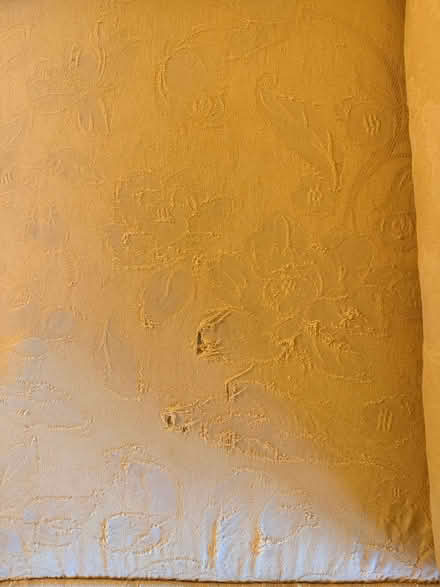 Photo of free Yellow two seat sofa (Shacklewell E8) #4