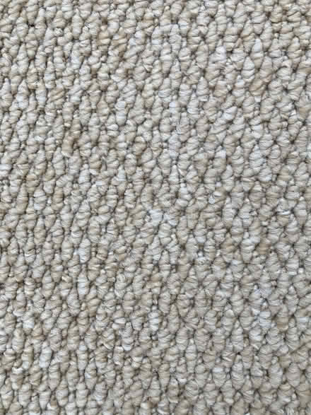 Photo of free Carpet piece (Funtington PO18) #1