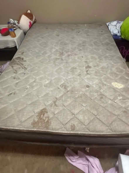Photo of free Bed (Parsons ks 300 highland dr) #1