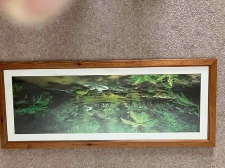 Photo of free Large Picture & Frame (Willingdon BN20) #1