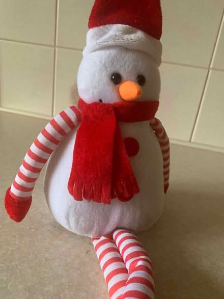 Photo of free Christmas decoration (Newport pagnell MK16) #3